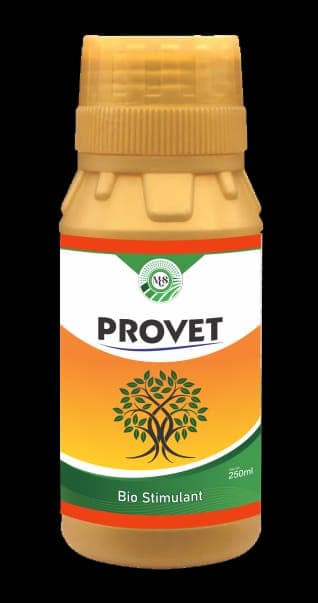 Provet